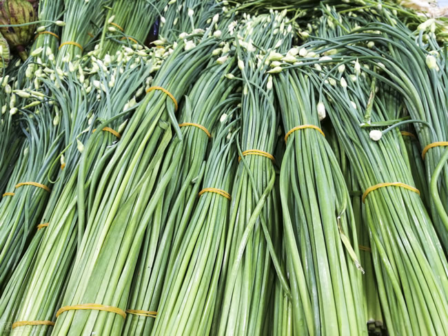 蔬菜儲備計(jì)劃