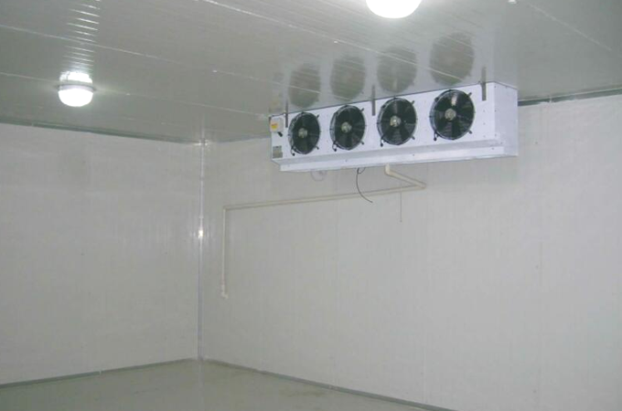 建造一個(gè)果蔬保鮮冷庫(kù)需要多少錢(qián)？