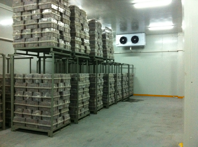 冷庫(kù)裝什么燈合適？冷庫(kù)燈和普通燈有有什么區(qū)別